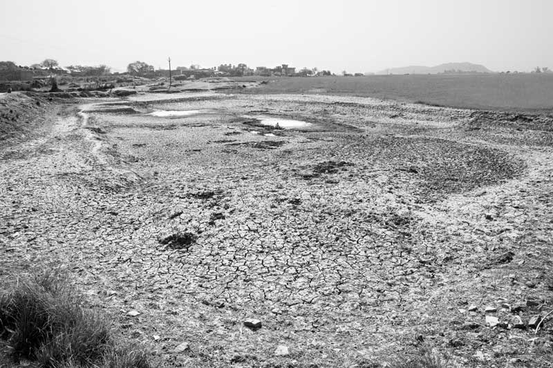 The substantially dry bed of Patesar Ahar in Kaimur district, Bihar